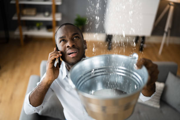 Best Ceiling water damage repair  in Chisholm, ME