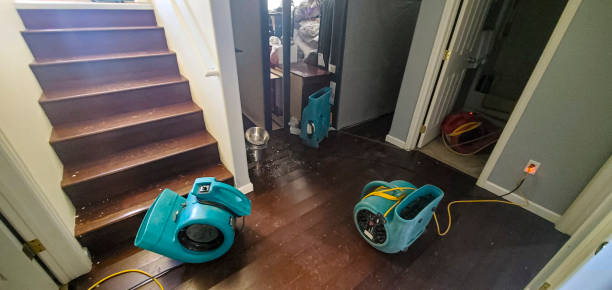 Best Flood restoration services  in Chisholm, ME