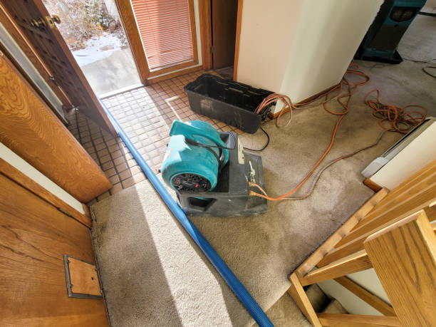 Best Carpet water damage restoration  in Chisholm, ME