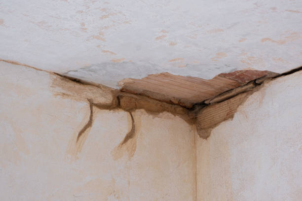 Best Water damage restoration near me  in Chisholm, ME